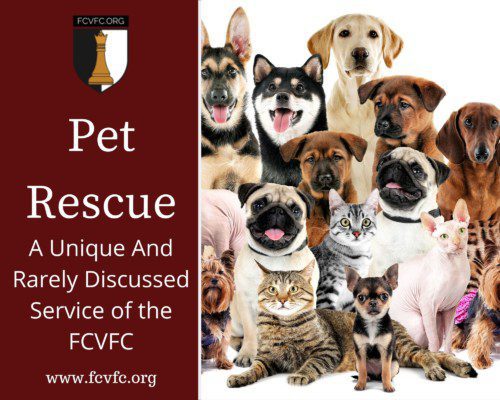 Read more about the article Pet Rescue: A Unique And Rarely Discussed Service of the FCVFC