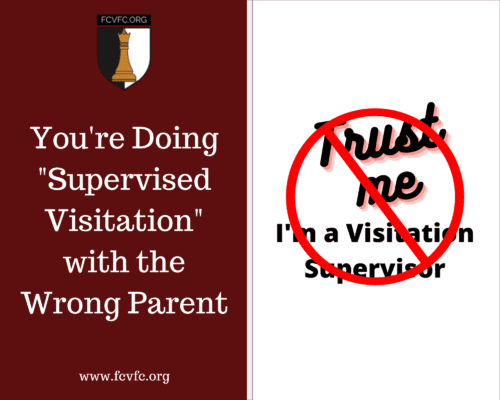 Read more about the article You’re Doing “Supervised Visitation” with the Wrong Parent