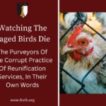  Watching The Caged Birds Die: The Purveyors Of The Corrupt Practice Of Reunification Services, In Their Own Words