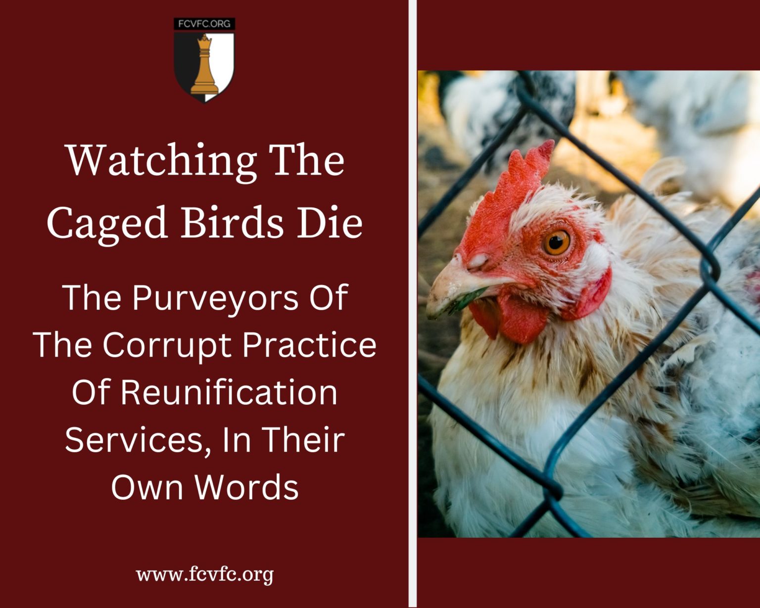 Watching The Caged Birds Die The Purveyors Of The Corrupt Practice Of