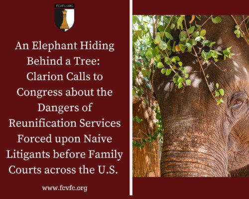 Read more about the article Family Court Corruption: An Elephant Hiding Behind a Tree